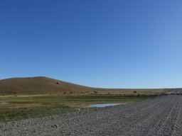 DSC09650