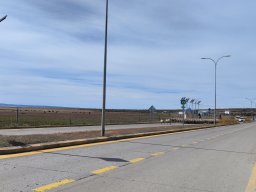 IMG_20250110_105941